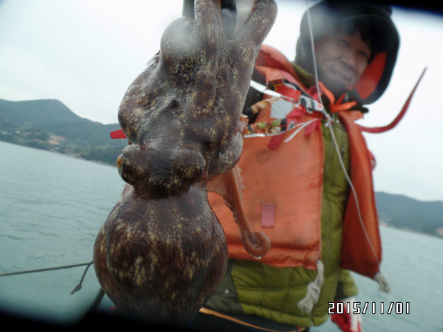 바다낚시 > 점주선장조황 > 가자호 굵직한 돌문어 쭈꾸미 확인차 수,12시30분 문어출조 가자호 굵직한 돌문어 쭈꾸미 확인차 수12시30분 문어출조